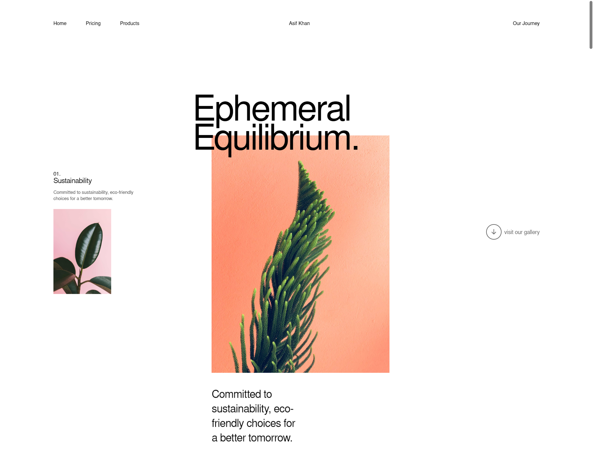 Ephemeral Equilibrium